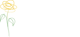 Cymorth Llaw